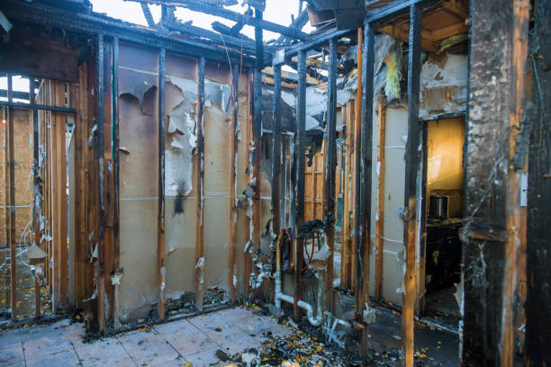 Professional Fire Damage Removal technician working in Mercer Island, WA